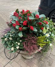 Alpes Jardins Tirozzini Paysagiste Bild 10