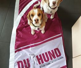 Hundeschule DUmitHund Bild 3