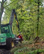 ALLIANCE Forêts Bois image 4