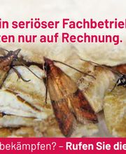 ATOX Schädlingsbekämpfungsfachbetrieb Bild 6