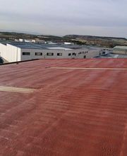 Proyectados MiRic Toledo imagen 1