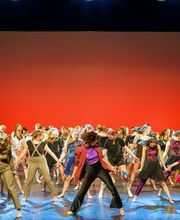 Verein TDC dance company & school Bild 9