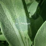 Fruchaud anne - psychopraticienne -therapie relationnelle