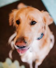 Twin Oaks Veterinary Clinic image 10
