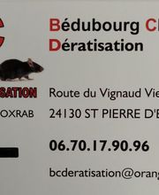 Bedubourg Clément image 1