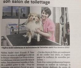 A L'Eau Toutou image 5