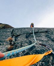 Wild Electric AG Bild 3