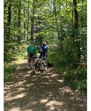 Wuff-Ontour Hundetraining & Gassi-Service Bild 2