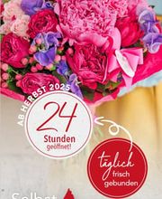 Bee wie Blumen Bild 4