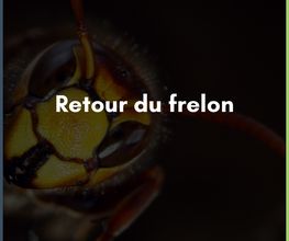 Interventions Nuisibles image 10