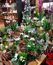 Espace Fleurs image 14