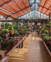 HORNBACH Gartencenter Bamberg Bild 2