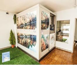 Gallery Cliente