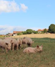 La Ferme En Croix Bild 3
