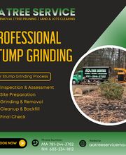 AA Tree Service image 2