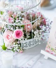LKDECO image 14