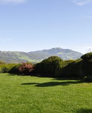 Ulrich Gartenbau AG Bild 8