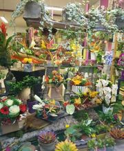 A La Magie Des Fleurs image 4