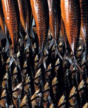 Dyhrberg AG 'Verwaltung' Bild 2