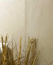 Malerei & Gipserei Zaugg GmbH Bild 3