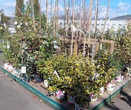 GAMM VERT image 11
