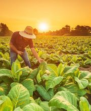 JOSE ANTONIO MOLINA imagen 4