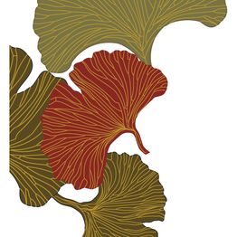 Praxis für traditionelle chinesische Medizin - Barbara Schatt