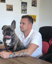 KFZ-Zulassungsdienst Markus Bild 5