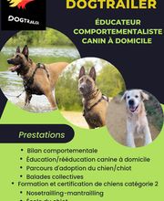 Dogtrailer Educateur Comportementaliste Canin image 3