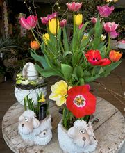 Köpfer Blumenhaus GmbH Bild 4