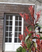 Joséphine Mourgues image 4