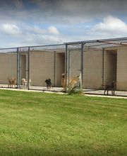 Joncour Marc image 2