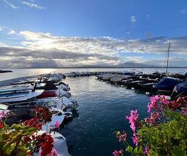 Port Vidoli SA Bild 3