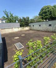 Erde planieren und einsähen