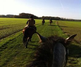 Cheval Nature image 9