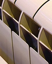 Araujo Philippe image 1