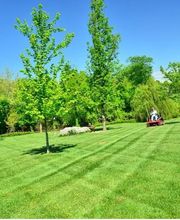 Clean Desk SARL image 4