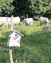 Vogelnistkasten an Kuhweide, Schwabenglanz, 88605 Meßkirch