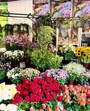 Blumen Rack Bild 1