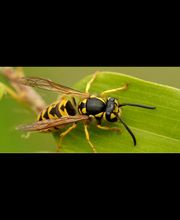 Ratoucy SAS image 20