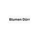 Blumen Dürr GmbH