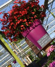 Le Saint Horticulture image 4