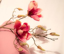 Dubai Beauty Kosmetikstudio Bild 14