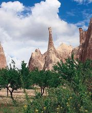 terra sancta tours ag Bild 1