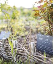 Laboratoires De Biologie Végétale Yves Rocher image 11