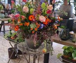 Floria Blumen Bild 1