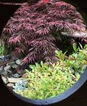 Harmonie paysage sarl Bild 5