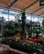 HORNBACH Gartencenter Göppingen Bild 3