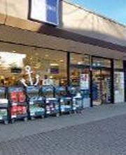 budni - Weiße Rose Bild 2