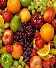 Secci Dorothée image 2